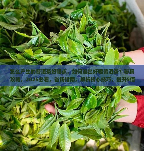 怎么产生的普洱茶好喝点 怎么产生的普洱茶好喝点