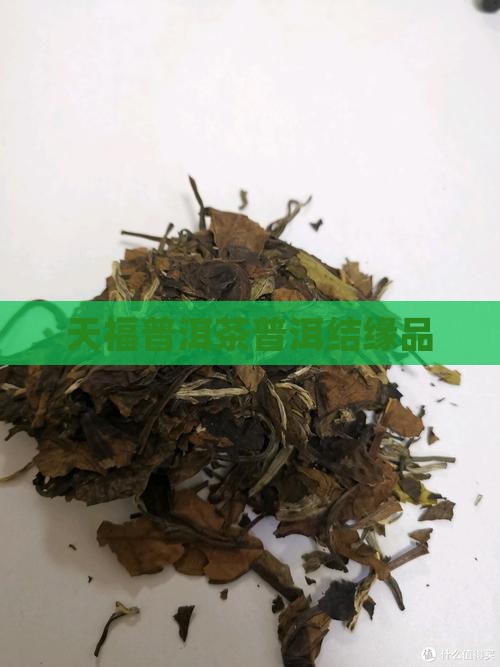 天福结缘品普洱茶