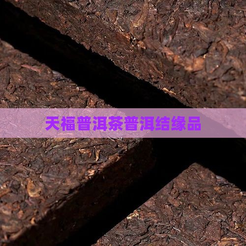 天福结缘品普洱茶