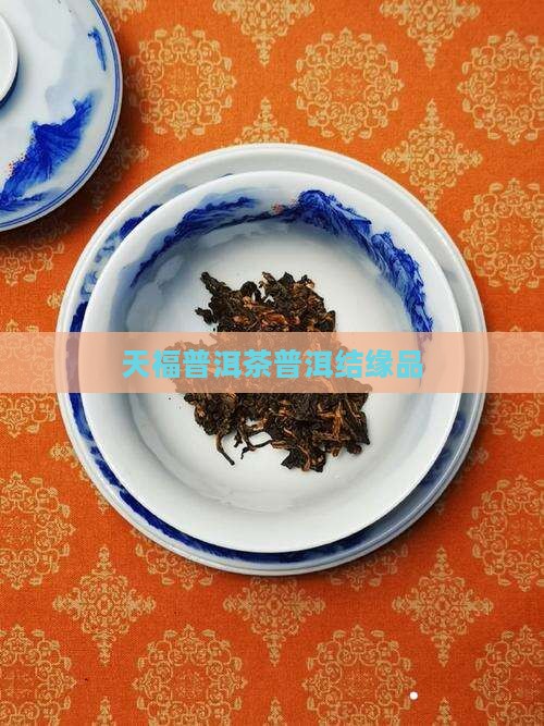 天福结缘品普洱茶