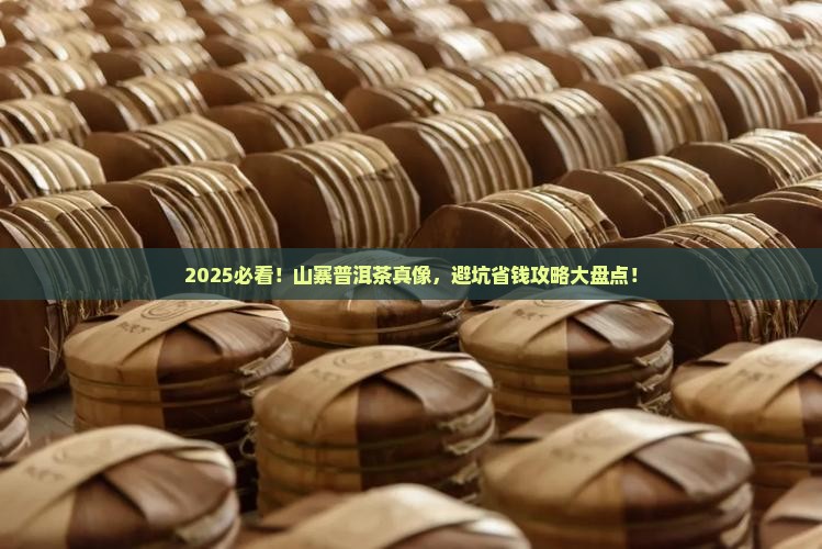 山寨普洱茶大全