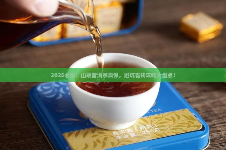 山寨普洱茶大全