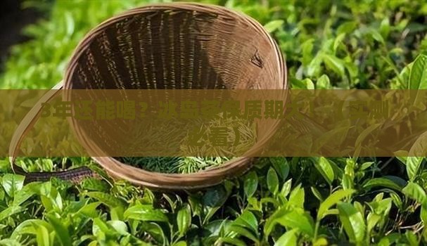 冰岛茶的保质期