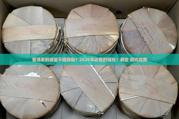 中国普洱茶现状