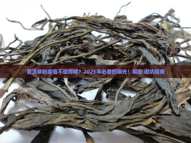 中国普洱茶现状