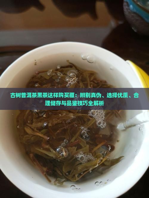 古树普洱茶黑茶这样购买藏