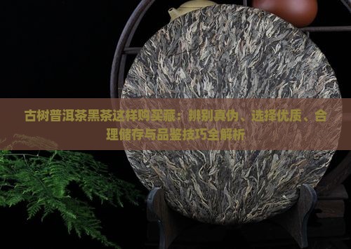 古树普洱茶黑茶这样购买藏
