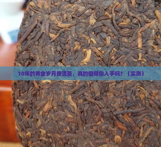 10年的黄金岁月普洱茶