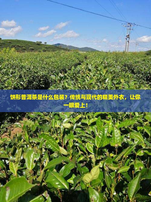 饼形普洱茶是什么包装