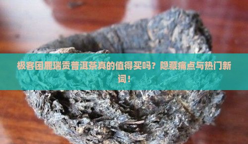 极客困鹿瑞贡普洱茶