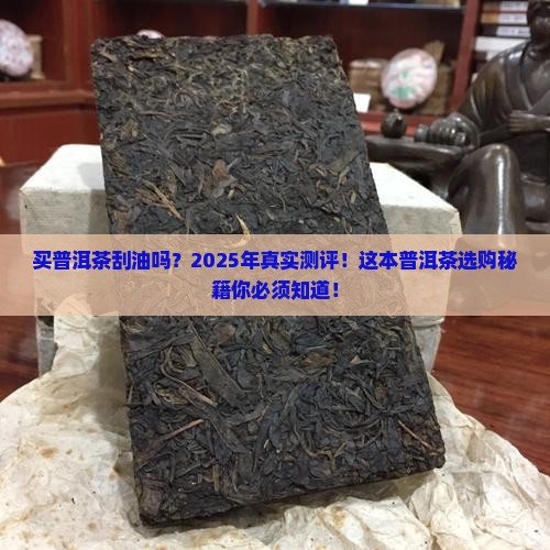 买普洱茶刮油吗怎么买好 买普洱茶刮油吗怎么买好