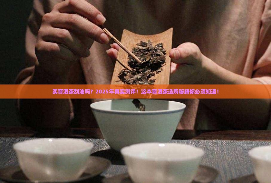 买普洱茶刮油吗怎么买好 买普洱茶刮油吗怎么买好