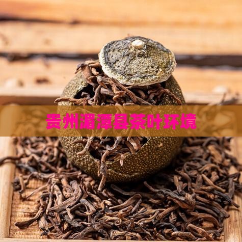 湄潭县茶叶环境