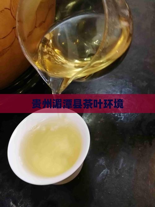 湄潭县茶叶环境