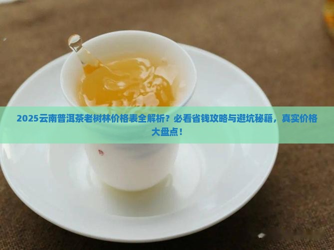 云南普洱茶老树林价格表