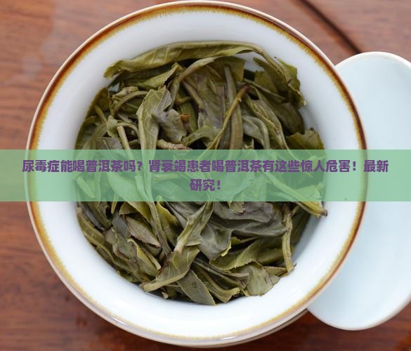 尿毒症能喝普洱茶