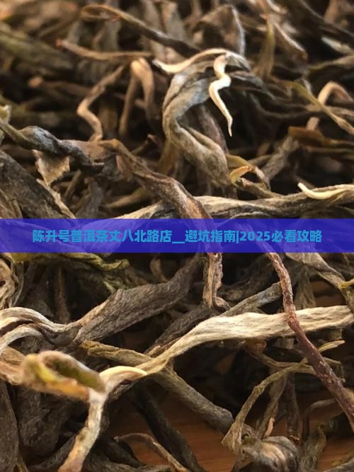 陈升号普洱茶丈八北路店