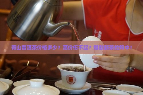 箐山普洱茶价格多少
