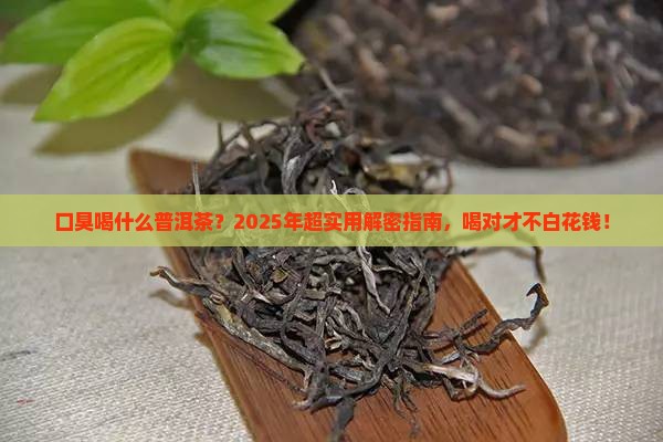 口臭喝什么普洱茶