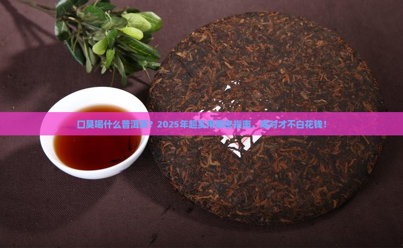口臭喝什么普洱茶
