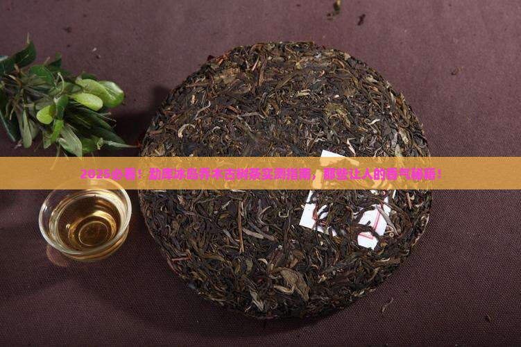 勐库冰岛乔木古树茶