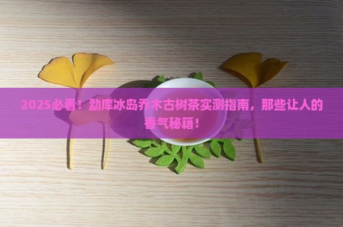 勐库冰岛乔木古树茶