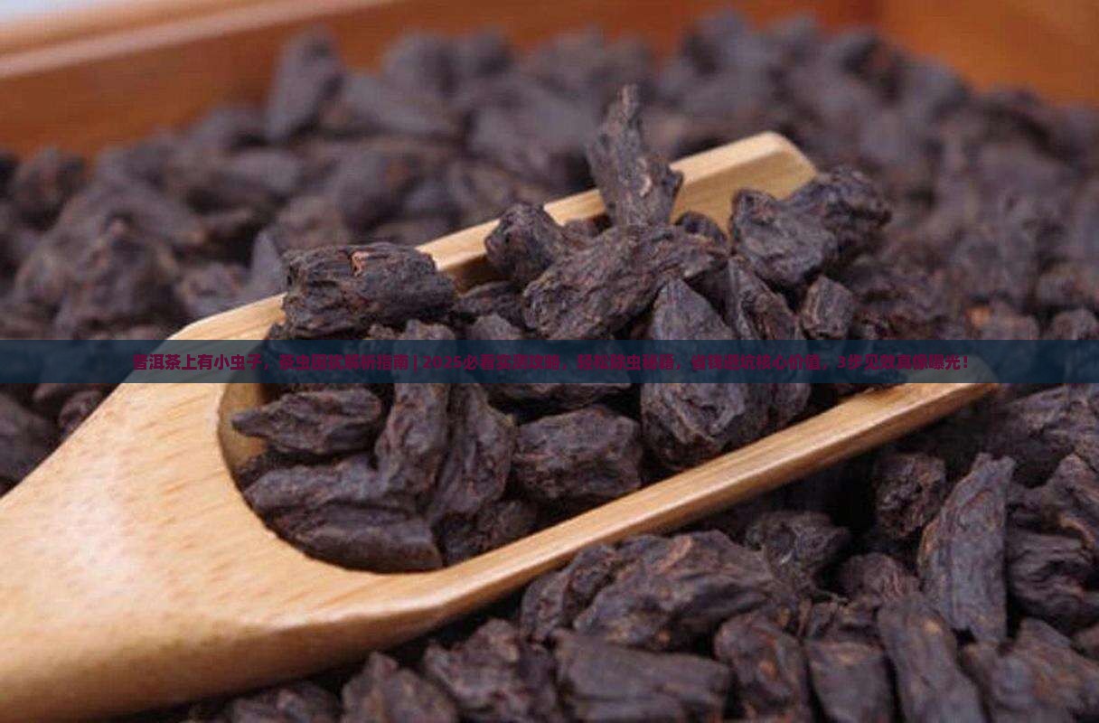 普洱茶上有小虫子