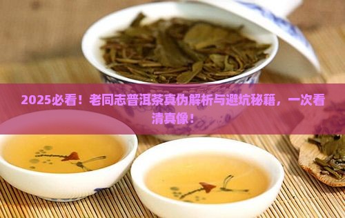 2021老同志普洱茶真伪