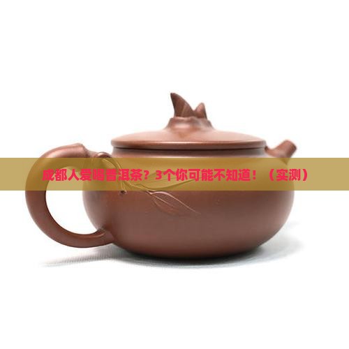 成都人喜欢喝普洱茶