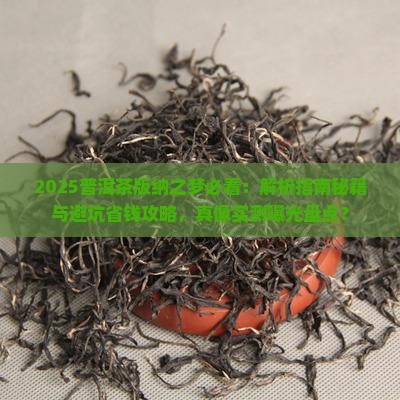 普洱茶版纳之梦