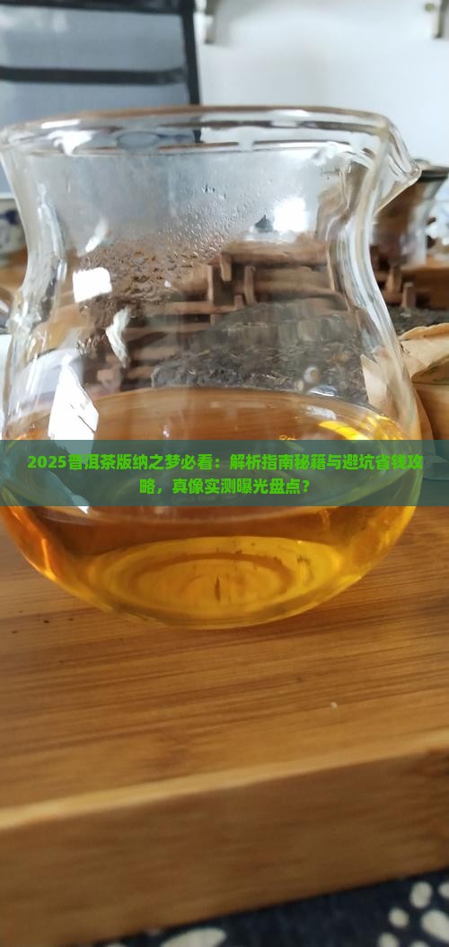 普洱茶版纳之梦