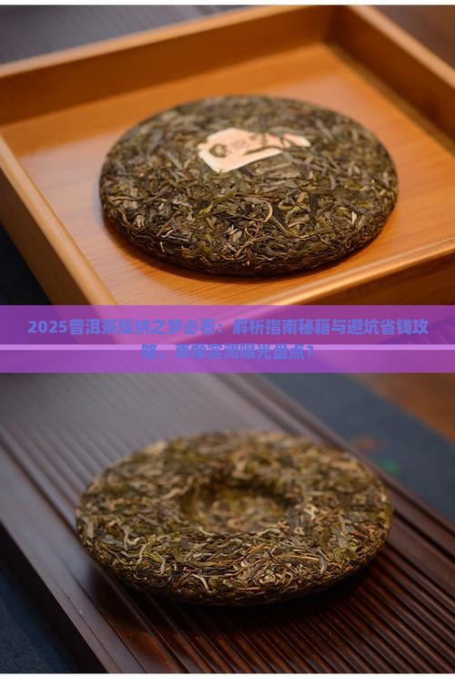 普洱茶版纳之梦
