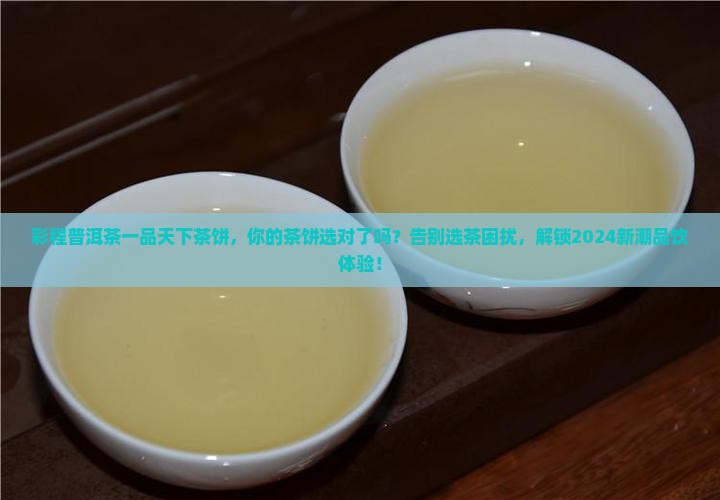 彩程普洱茶一品天下茶饼