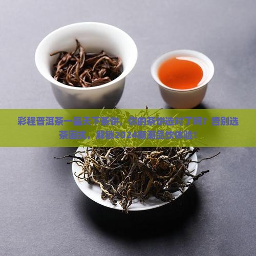 彩程普洱茶一品天下茶饼