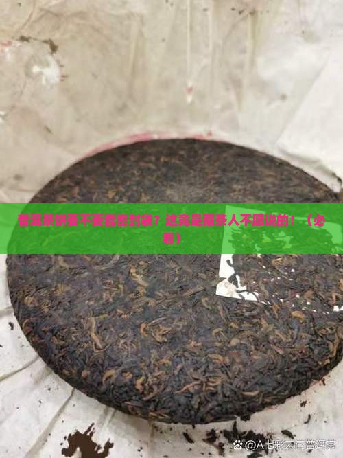 普洱茶饼要不要套密封袋