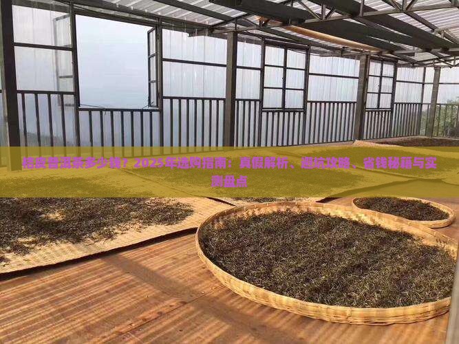 桔皮普洱茶多少钱