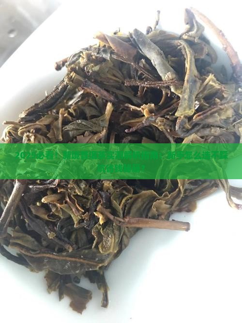 新境普洱茶怎么样
