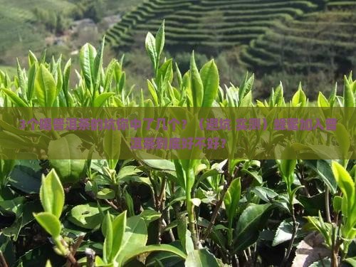 蜂蜜加入普洱茶