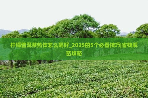 柠檬普洱茶热饮怎么喝好