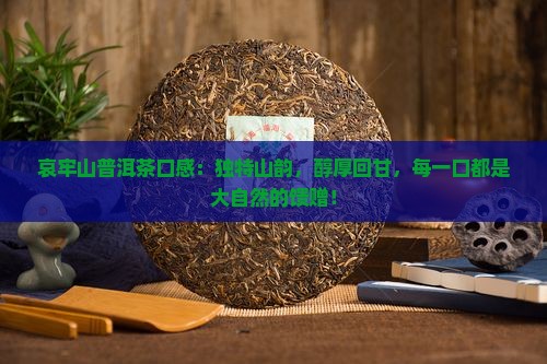 哀牢山普洱茶口感