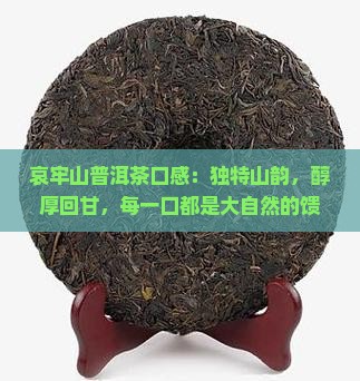 哀牢山普洱茶口感