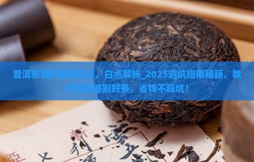 普洱茶饼内部有白点