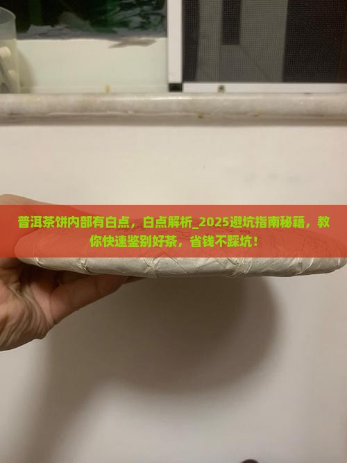 普洱茶饼内部有白点