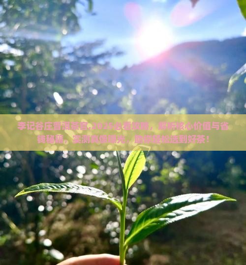 李记谷庄普洱茶官