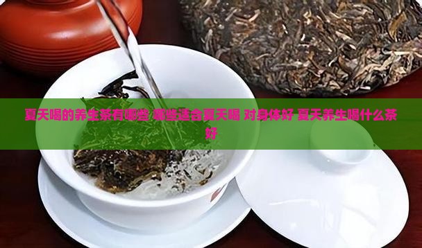 夏天喝的养生茶有哪些