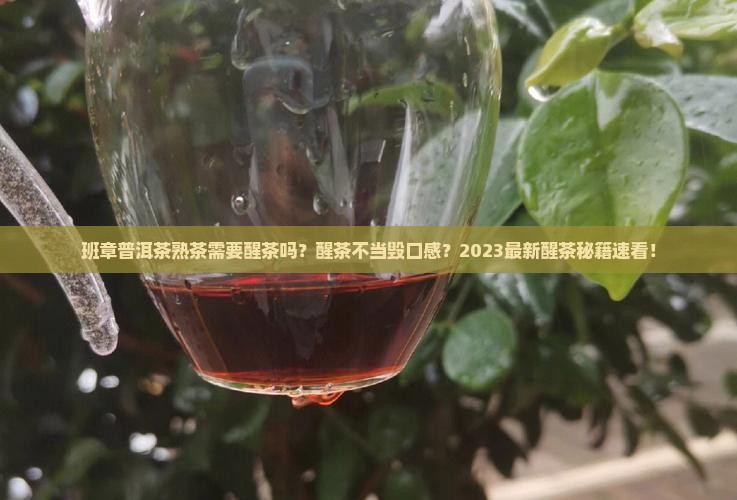 班章普洱茶熟茶需要醒茶吗