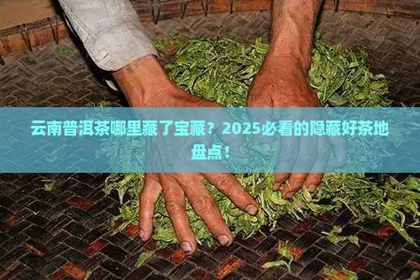 云南普洱茶那个地方的好