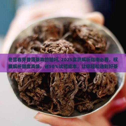 冬雪春芽普洱茶真的甜吗