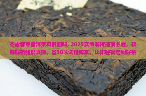 冬雪春芽普洱茶真的甜吗