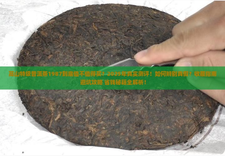 高山特级普洱茶1987